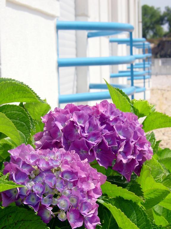 Quinta Do Lago Verde Coruche Luaran gambar